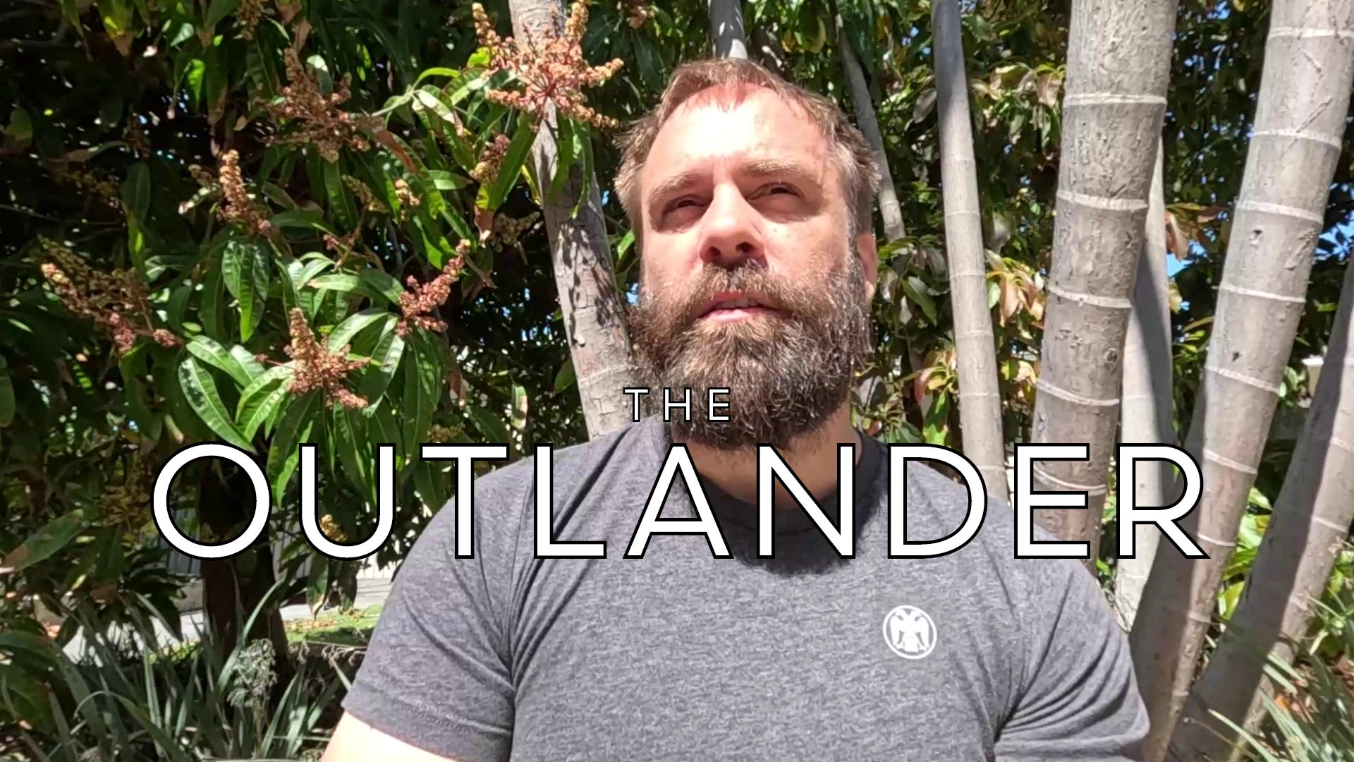 Redpilled Proverbs I: It Takes All Kinds