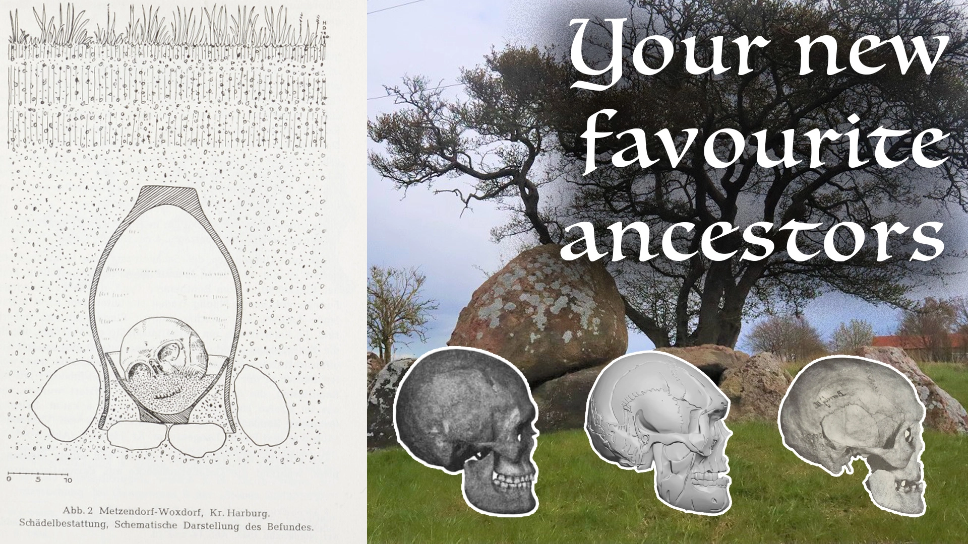 E27: The Ancestor of Celto-Germanics